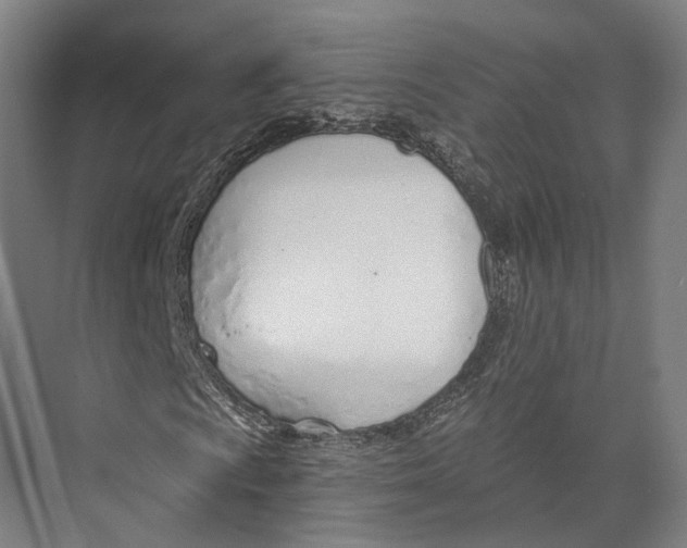 X0000073991009200609181737