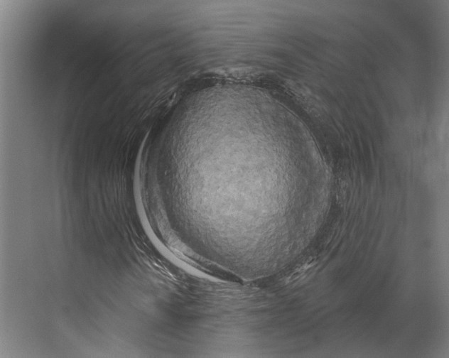 X0000073991010200609181737