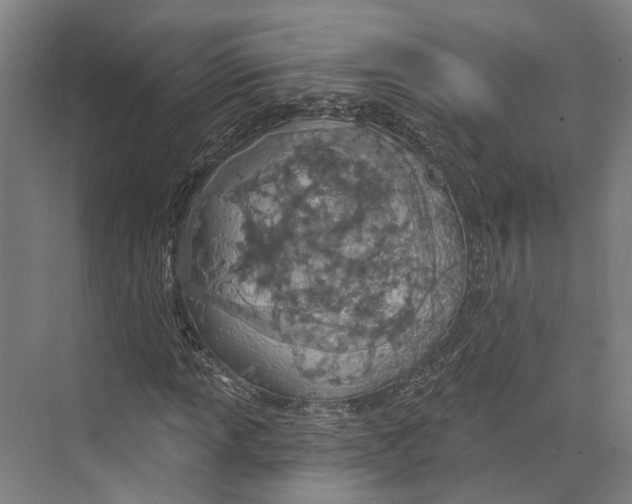 X0000073991013200609181737