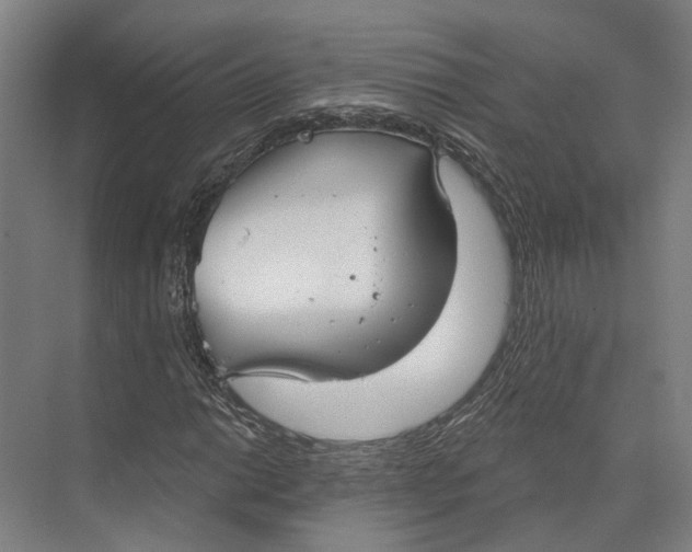 X0000073991014200609181737