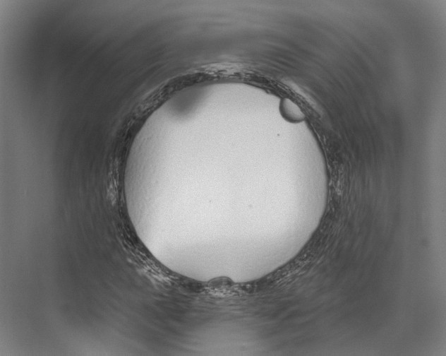 X0000073991015200609181737