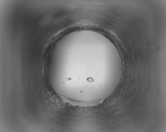 X0000073991016200609181737