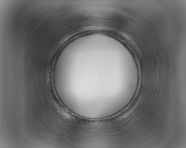 X0000073991017200609181737