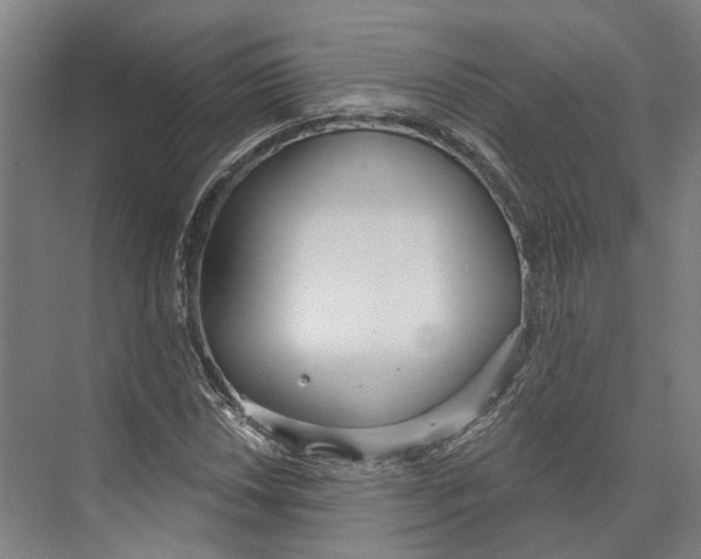 X0000073991018200609181737