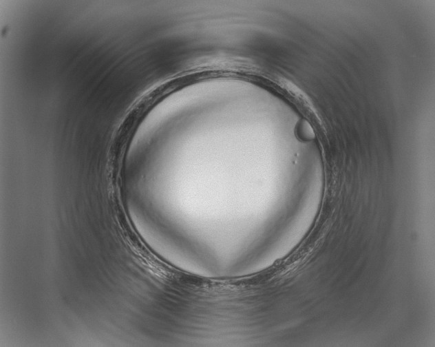 X0000073991019200609181737