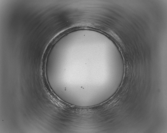 X0000073991020200609181737