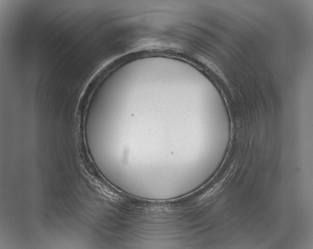 X0000073991021200609181737