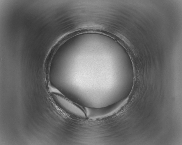 X0000073991022200609181737