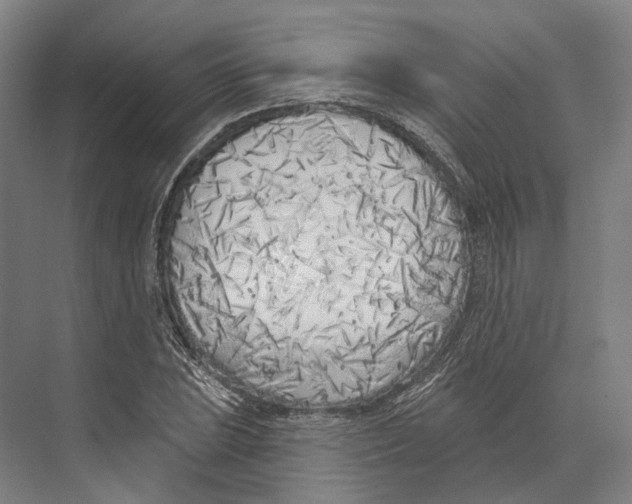 X0000073991023200609181737