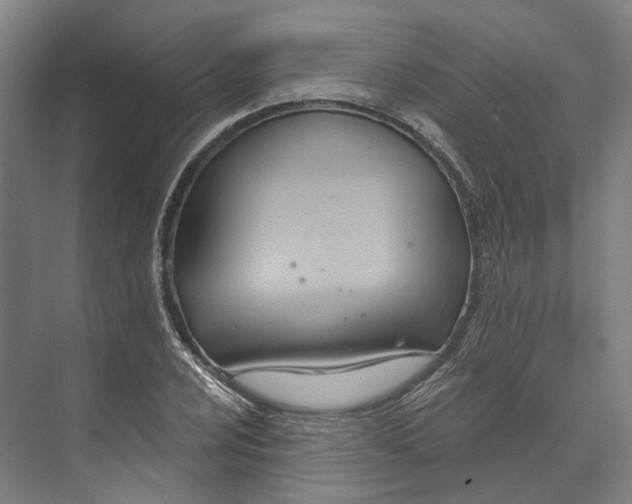 X0000073991024200609181737