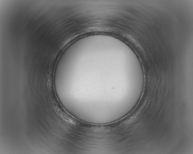 X0000073991025200609181737