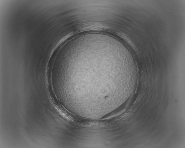 X0000073991026200609181737