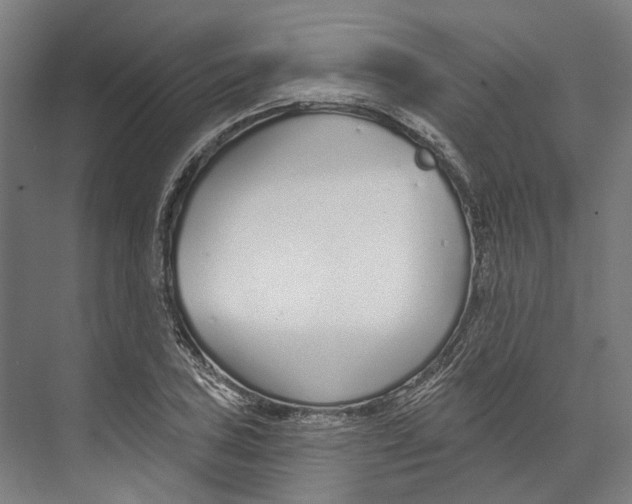 X0000073991027200609181737