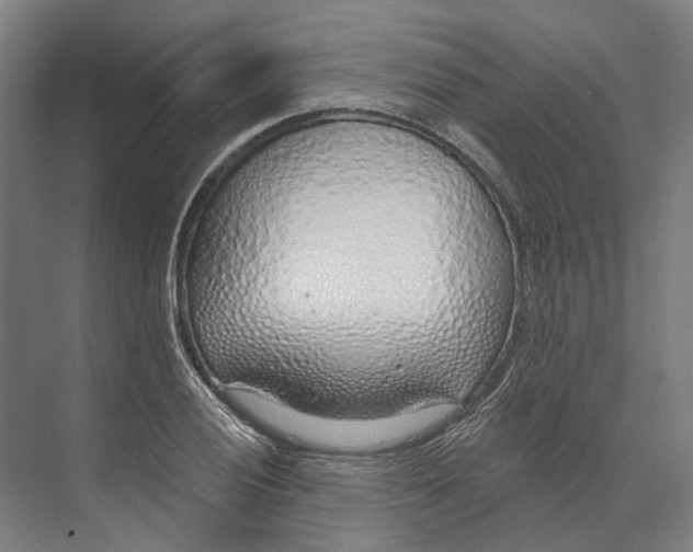 X0000073991028200609181737