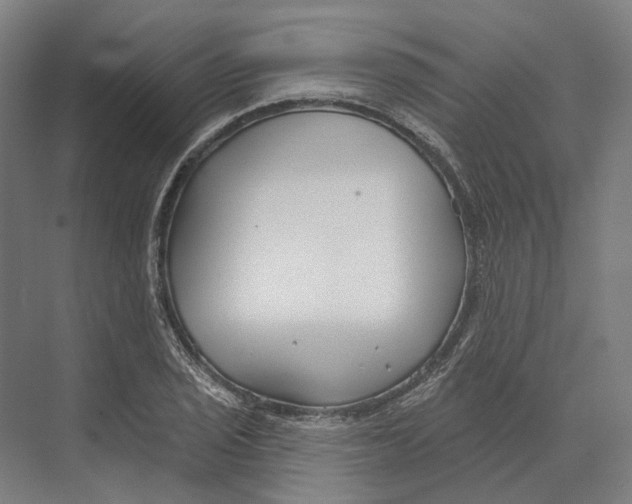 X0000073991029200609181737