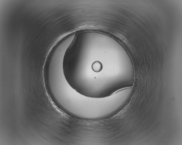 X0000073991030200609181737