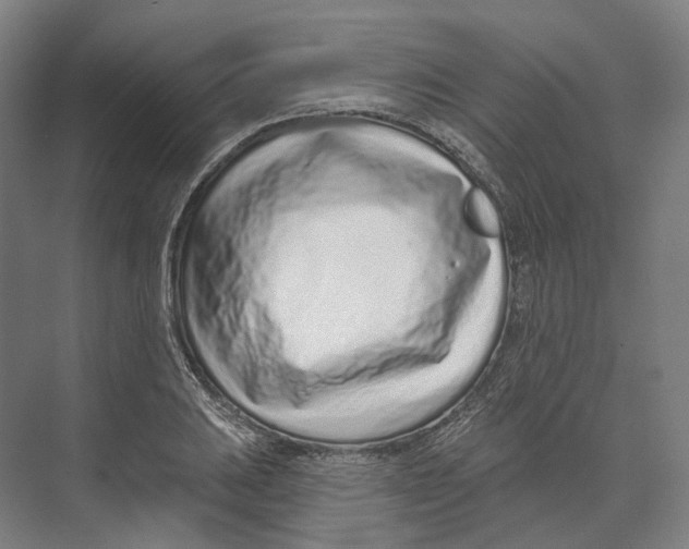 X0000073991031200609181737