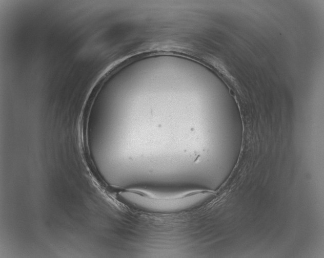 X0000073991032200609181737