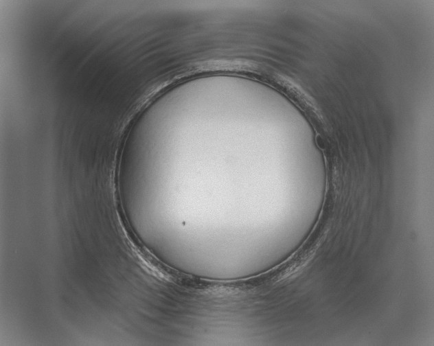 X0000073991033200609181737