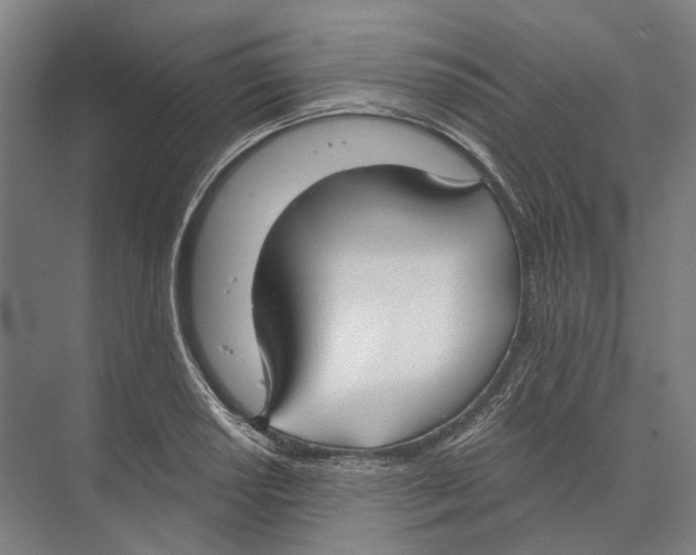 X0000073991034200609181737