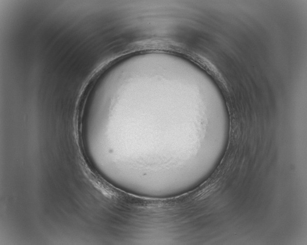 X0000073991035200609181737