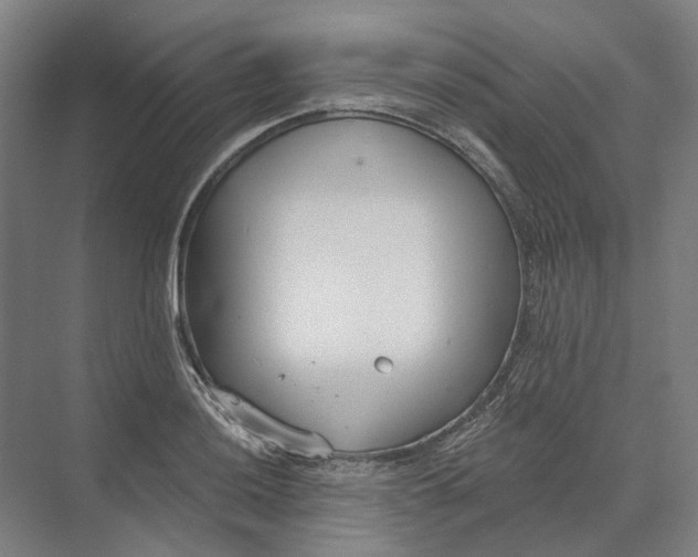 X0000073991036200609181737