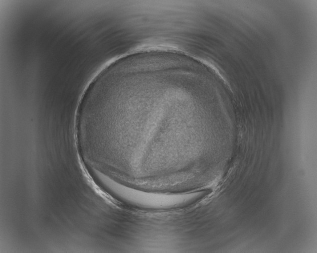 X0000073991038200609181737