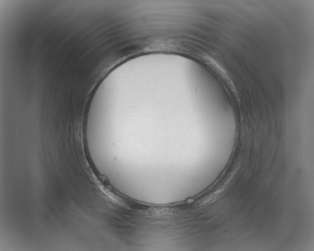 X0000073991041200609181737