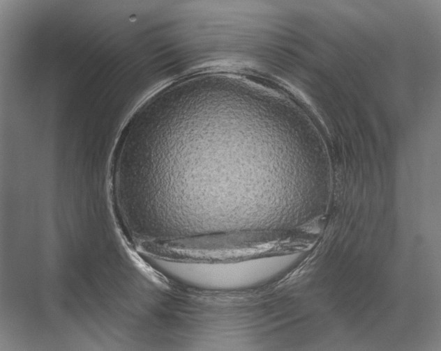 X0000073991042200609181737