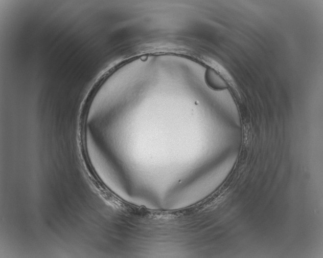 X0000073991043200609181737