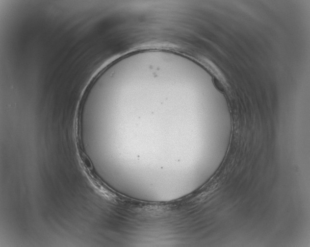 X0000073991044200609181737