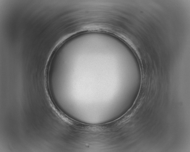 X0000073991045200609181737