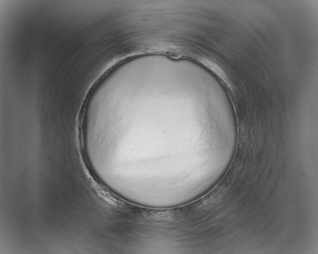 X0000073991047200609181737