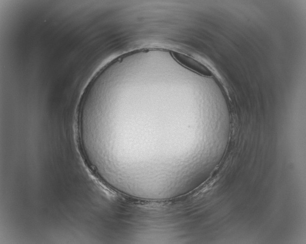 X0000073991048200609181737