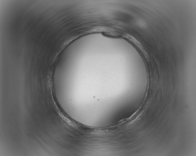 X0000073991049200609181737