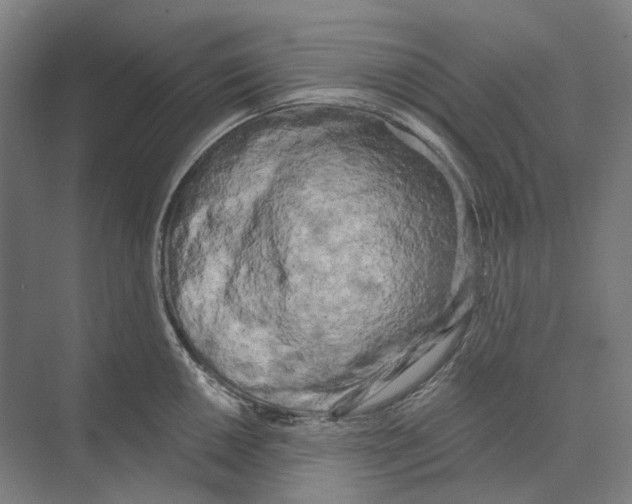 X0000073991050200609181737