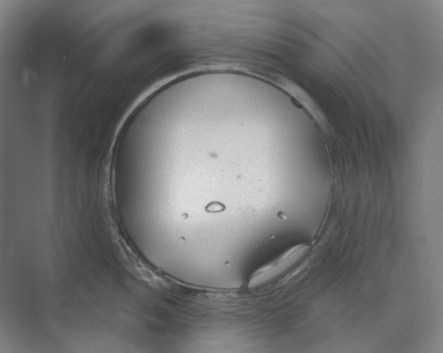 X0000073991052200609181737