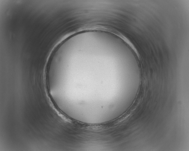 X0000073991053200609181737