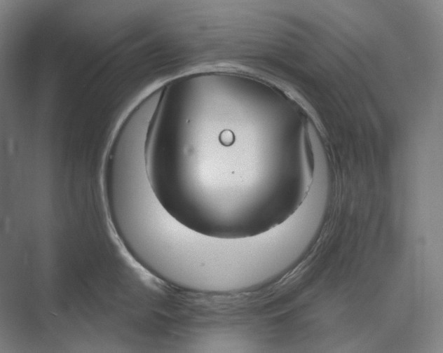 X0000073991054200609181737