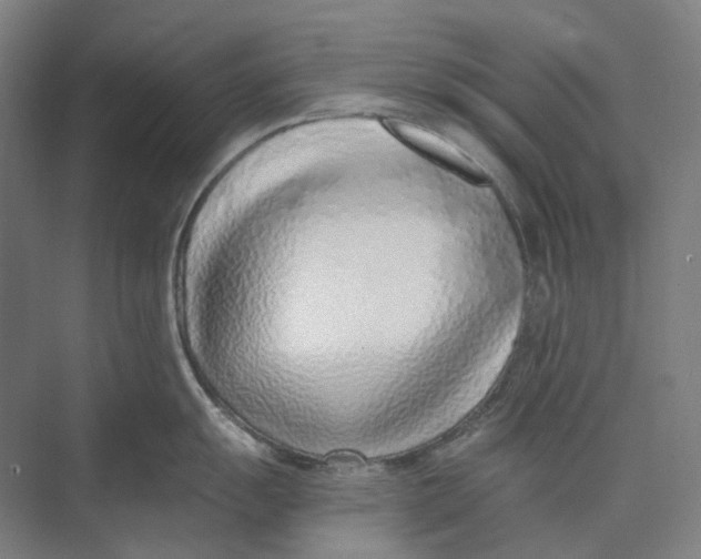 X0000073991055200609181737