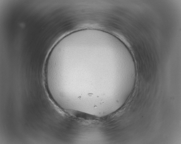 X0000073991056200609181737