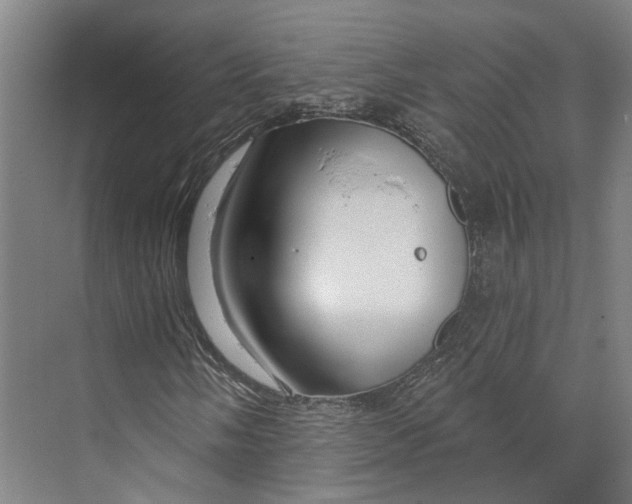 X0000073991058200609181736