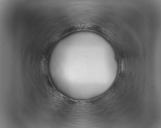 X0000073991059200609181736