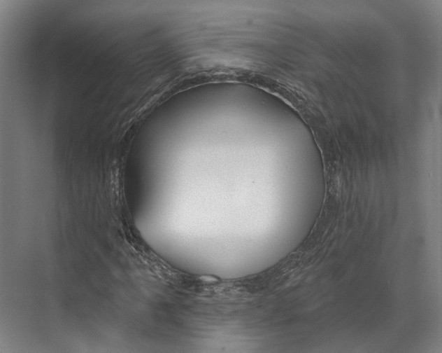 X0000073991061200609181736