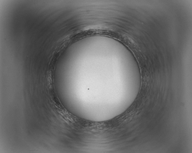 X0000073991062200609181736