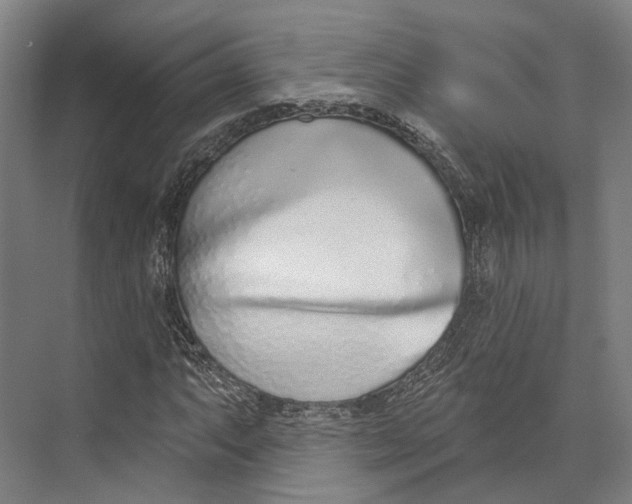 X0000073991063200609181736