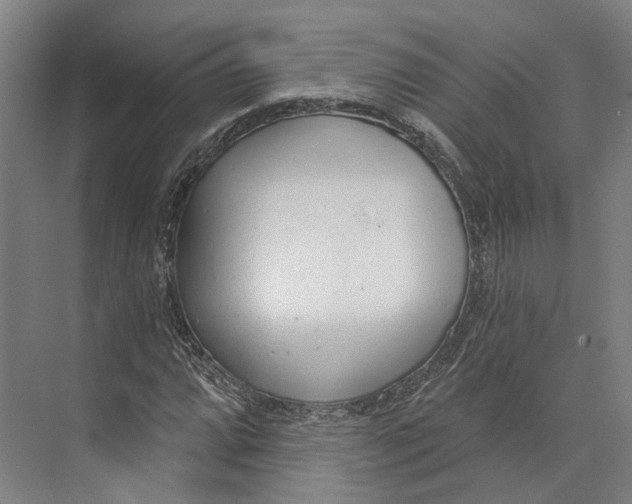 X0000073991064200609181736