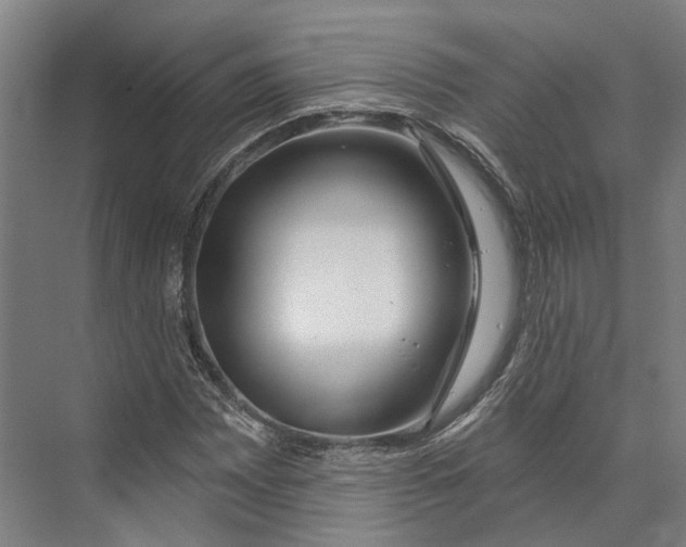 X0000073991065200609181736