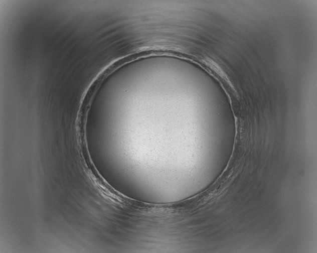 X0000073991068200609181736