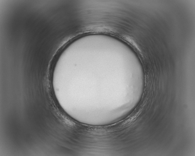 X0000073991071200609181736